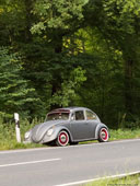 96-beloved-place-beetle-th