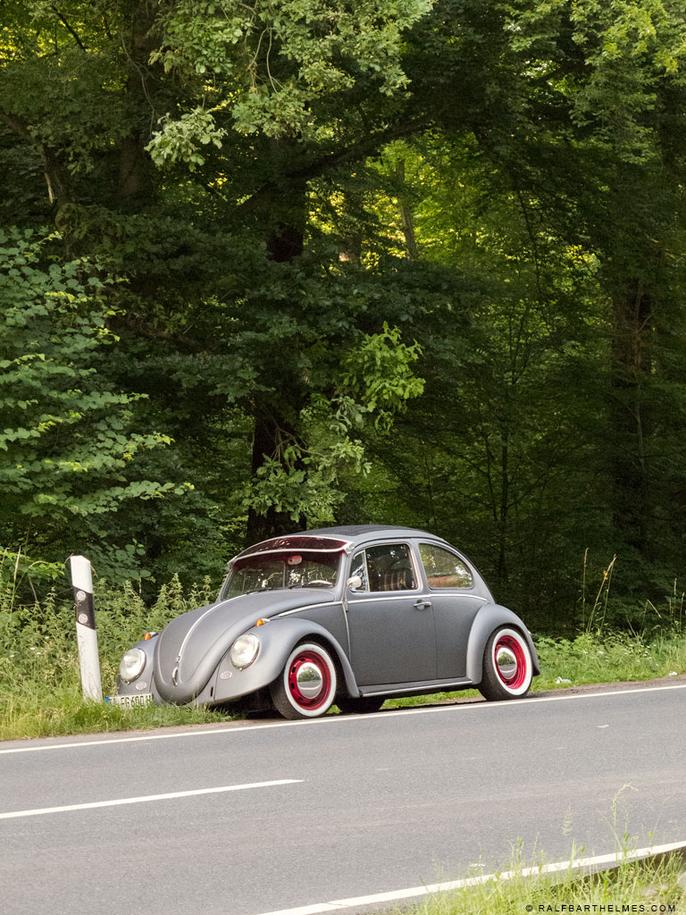 96-beloved-place-beetle