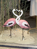 422-foto-shopping-window-flamingos-th