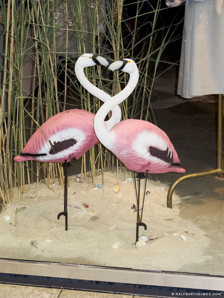 422-foto-shopping-window-flamingos