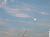 461-blue-moon-of-frankfurt-foto-th