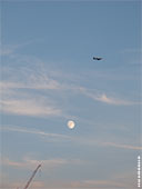 462-blue-moon-of-frankfurt-foto-th
